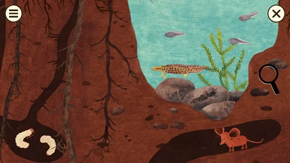 Little Mouse´s Encyclopedia XBOX [ Code 🔑 Key ]