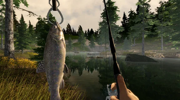 Fishing Adventure✅STEAM GIFT AUTO✅RU/УКР/КЗ/СНГ