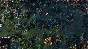 Songs of Conquest - Roots * RU/KZ/СНГ/TR/AR * DLC