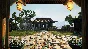 🚀 Chinese Frontiers 🤖 Steam Gift РФ + другие ⚡ АВТО
