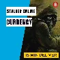 Low price! Stalker Online rubles, Money Stalker online.