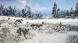 theHunter: Call of the Wild™ - Alberta Hunting Preserve
