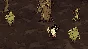 Don´t Starve Together: Starter Pack 2020 STEAM РОССИЯ