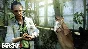☑️⭐Far Cry 3 XBOX +DLC from 360⭐Any account #
