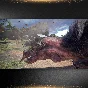 🟦⭐Monster Hunter: World ☑️ Все регионы⚡STEAM АВТО 24/7