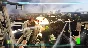⭐Tom Clancy´s Ghost Recon Advanced Warfighter 2 XBOX⭐#