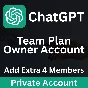 Частный аккаунт ChatGPT Team Plan (до 5 пользователей)