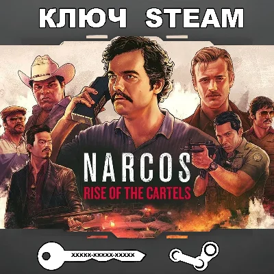 Narcos: Rise of the Cartels (STEAM KEY🔑RU+KZ)