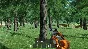 Ranch Farm and Store Simulator STEAM GIFT RUSSIA 🇷🇺