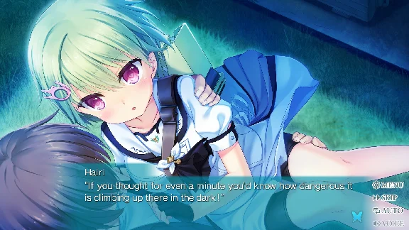🚀 Summer Pockets REFLECTION BLUE 🤖 Steam Gift AUTO