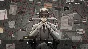 Murders on the Yangtze River (Steam key / Region Free)