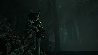 The Forever Winter - Nosebleed Skin Pack DLC - STEAM