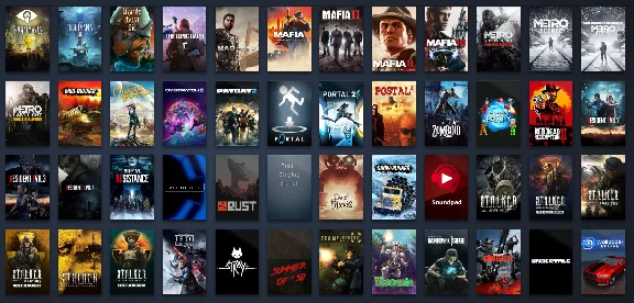 Steam account |146 games |9 years |Your Email | Türkiye