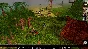 Neverwinter Nights: Pirates of the Sword Coast Enhanced