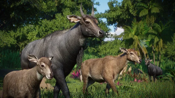 Planet Zoo: Asia Animal Pack * RU/KZ/CIS/TR/AR * DLC