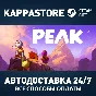 PEAK Steam АВТОДОСТАВКА RU/BY/KZ/UA