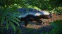 ⭐️ALL COUNTRIES⭐️ Planet Zoo Asia Animal Pack STEAM GIF