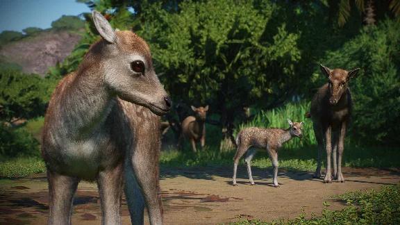 ⭐️ALL COUNTRIES⭐️ Planet Zoo Asia Animal Pack STEAM GIF