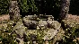 Medieval Dynasty - Echoes of Nature DLC STEAM RUSSIA