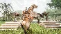 Conan Exiles - Architects of Argos Pack💎DLC STEAM GIFT