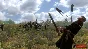 ⭐ Mount & Blade: With Fire and Sword GOG Key 🔑GLOBAL (