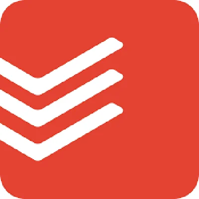 Todoist Pro | Subscription 1/12 months to your account