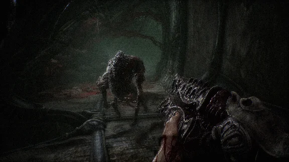 ✅❤️SCORN❤️XBOX|XS+PC WIN🔑KEY✅