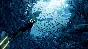 ✅❤️ABZU❤️XBOX ONE|XS🔑 KEY✅