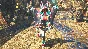 ⭐️ Monster Hunter Wilds Hunter Layered Armor Set Cypurr