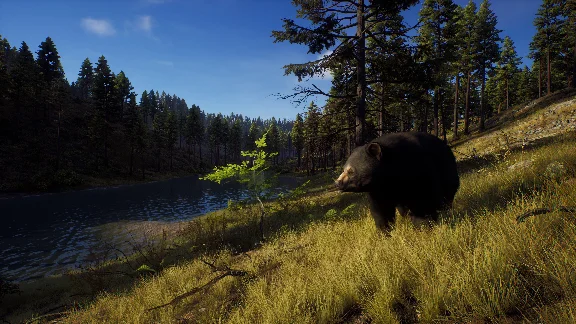 ✅❤️WAY OF THE HUNTER ELITE EDITION❤️XBOX|XS🔑КЛЮЧ✅