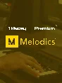 🎹 Melodics Premium⭐️1-2 Months✔️Official Subscription