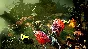 ✅❤️WARHAMMER AGE OF SIGMAR: STORM GROUND❤️XBOX🔑KEY