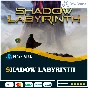 ✅ Shadow Labyrinth 🔵PS5🚀Выбор региона