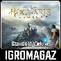 Hogwarts Legacy Standard / Deluxe(Steam)СНГ🚫 БЕЗ РФ-РБ