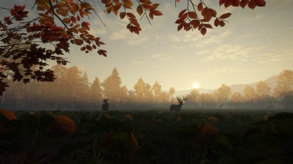 ✅THEHUNTER CALL OF THE WILD NEW ENGLAND MOUNTAINS🔑XBOX