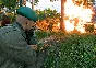 Enlisted Silent Storm Bundle DLC| Xbox Key/Code