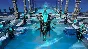 ⭐ Age of Wonders: Planetfall - Revelations DLC EU PC St