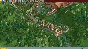 Roller Coaster Tycoon Deluxe (Steam key / Region Free)