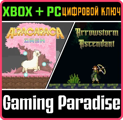 SYNNERGY GAMES BUNDLE (XBOX + WINDOWS) XBOX + PC (WIN)