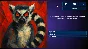 MEMASIKI 2 Oldskuly svelo STEAM KEY REGION FREE GLOBAL