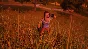 Hello Neighbor XBOX [ Game Key🔑 Code ]
