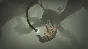 Outer Wilds: Archaeologist Edition XBOX / WINDOWS Key🔑