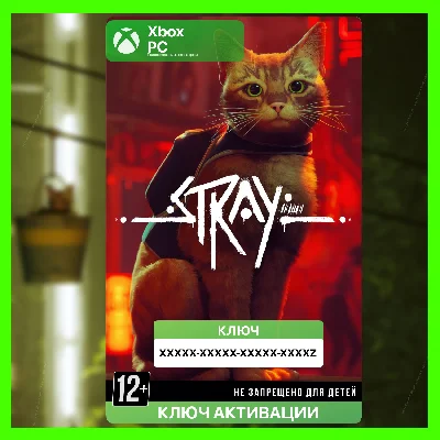 КЛЮЧ | STRAY 😺 (XBOX + PC)