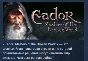 Eador: Masters of the Broken World 💎 STEAM GIFT RU