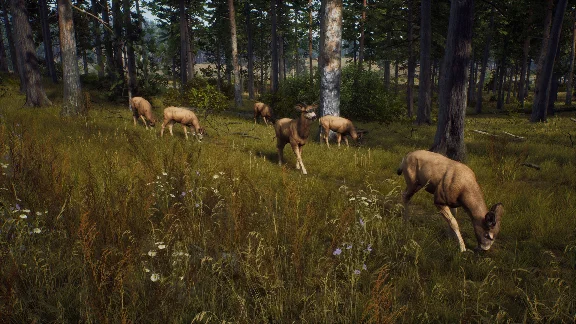 Way of the Hunter Elite Edition 💎 STEAM GIFT RUSSIA