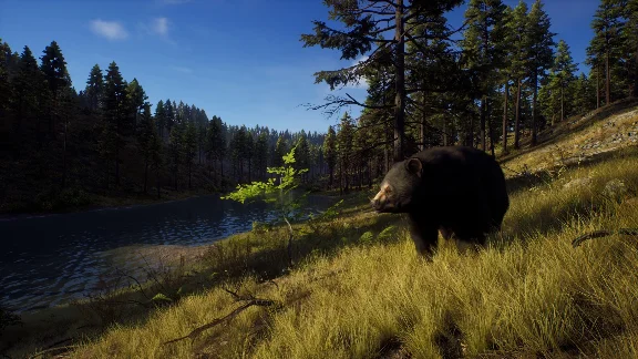 Way of the Hunter Elite Edition 💎 STEAM GIFT RUSSIA