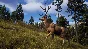 Way of the Hunter Elite Edition 💎 STEAM GIFT RUSSIA