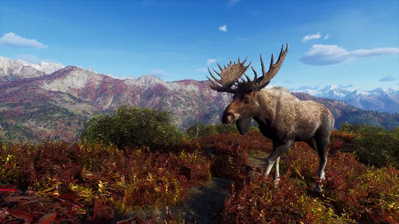 Way of the Hunter - Aurora Shores  DLC STEAM РОССИЯ