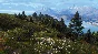 Way of the Hunter - Aurora Shores  DLC STEAM РОССИЯ