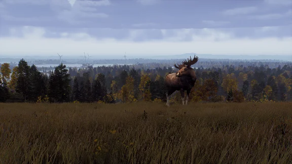 Way of the Hunter - Lintukoto Reserve DLC STEAM РОССИЯ